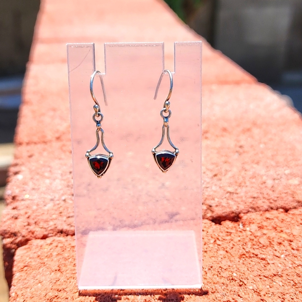 Garnet and 925 Silver Earrings